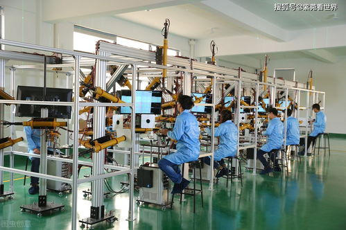 41歲母親再婚生子，壓榨大兒子引發(fā)社會(huì)爭(zhēng)議